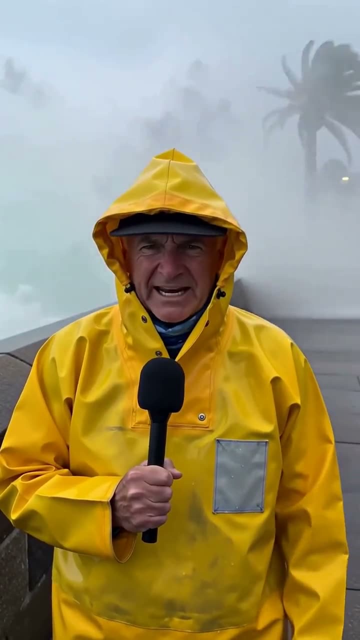 News Clips